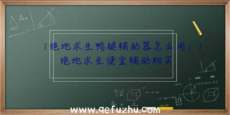 「绝地求生鸭腿辅助器怎么用」|绝地求生便宜辅助购买